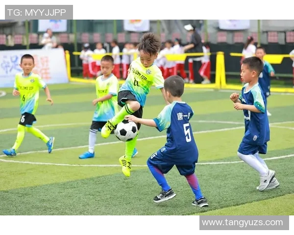 足球活球的魅力与技巧解析让你在赛场上尽显风采与实力